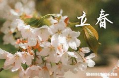 2024立春網絡寄語優(yōu)美句子大全 立春的美好寄語文案