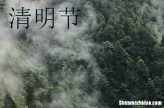 清明節(jié)有什么風(fēng)俗傳統(tǒng)2024 植樹(shù)是清明節(jié)的風(fēng)俗嗎