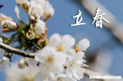 2024立春句子說(shuō)說(shuō) 2024立春文案集錦