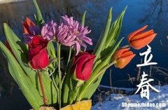 2024年立春是早上還是晚上 立春吃什么