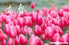 2024年立春后不能上墳嗎 立春什么時(shí)候上墳