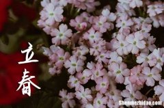 今年立春是幾月幾號幾點幾分2024