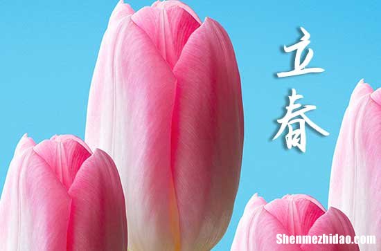 今年立春是几月几号几点2024