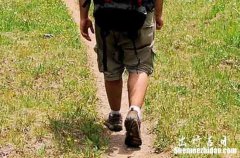 2024年1月31日是游玩的好日子嗎 2024年1月31日可以游玩嗎