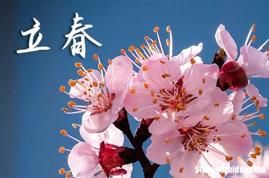 立春是哪天2024年 立春在春节前和春节后有什么说法