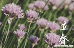 今年農(nóng)歷立春是哪天2024 立春后還冷嗎