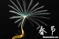 2024年春節(jié)祝福語發(fā)朋友圈 有什么春節(jié)祝福語