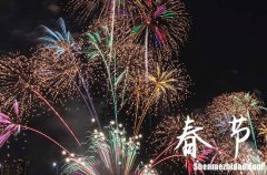 春節(jié)祝福語大全簡(jiǎn)短2024年春節(jié)祝福語