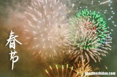 2024年春節(jié)祝福語(yǔ)春節(jié)祝福語(yǔ)大全簡(jiǎn)短一句話