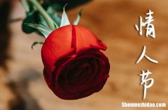 2024年西方情人節(jié)祝福語送女朋友 給愛人的情人節(jié)祝福