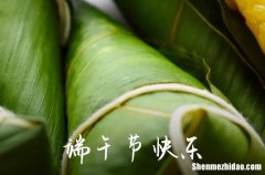 端午節(jié)簡單祝福語簡短2024端午節(jié)快樂祝福語簡短