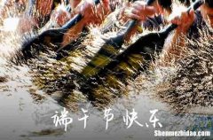 2024端午節(jié)祝福語送長輩端午節(jié)送給老人溫馨的祝福語