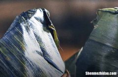 2024端午節(jié)怎么寫給朋友的祝福語 2024端午節(jié)給朋友的祝福語