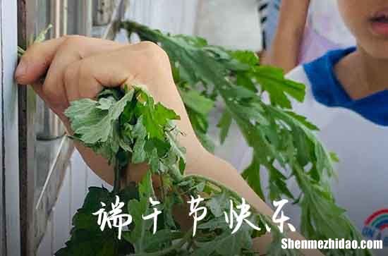 端午节给领导的祝福语2024 端午祝福语简短优美给领导