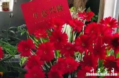 2024年農(nóng)歷正月初一是開張好日子嗎 適合開張嗎