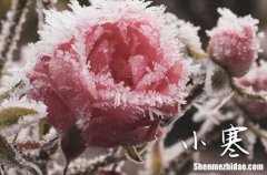 2024年小寒給客戶的祝福語 2024小寒節(jié)氣寄語