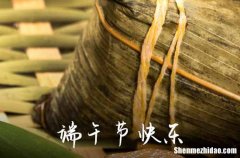 2024年經(jīng)典端午節(jié)祝福語集錦端午節(jié)經(jīng)典祝福語