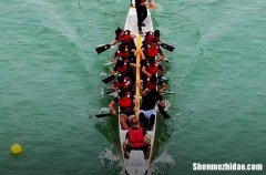 2024年五月五端午節(jié)祝福語(yǔ)短信端午節(jié)佳句祝福語(yǔ)短句