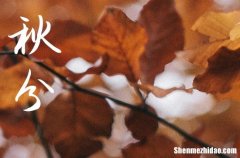 2024年秋分朋友圈說說祝福語大全秋分祝福語簡短獨特