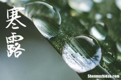 2024年寒露qq空間留言板祝福語寒露qq空間留言簡短句子可愛