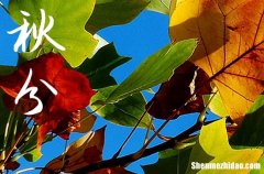 2024年秋分微信朋友圈說說祝福語大全秋分發(fā)圈的祝福語