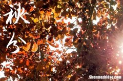 2024年關于秋分時節(jié)給家人的祝福語秋分時節(jié)祝福語短句