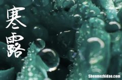 2024年最火寒露早上好祝福語寒露祝福語大全簡(jiǎn)短