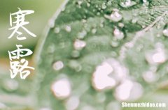 2024年寒露經(jīng)典微信祝福語寒露的微信問候語