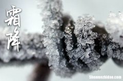 2024年霜降時(shí)節(jié)給父母的24節(jié)氣祝福語句子霜降唯美文案句子