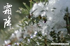 2024年霜降時(shí)節(jié)給父母的24節(jié)氣祝福語句子霜降節(jié)氣的含義是什么二十四節(jié)氣