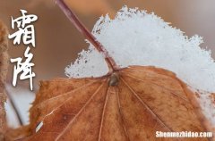 2024年霜降時(shí)節(jié)給父母的24節(jié)氣祝福語句子