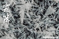 2024年霜降時(shí)節(jié)給父母的祝福語霜降祝福語溫馨的話