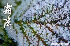 2024年霜降時(shí)節(jié)給父母的祝福語霜降時(shí)節(jié)祝福語大全