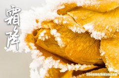 霜降的朋友圈祝福語2024年霜降的早安祝福語