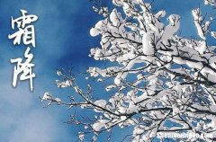 2024年霜降的暖心祝福語(yǔ)霜降的句子短句唯美