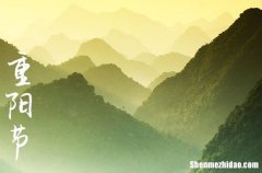 2024年重陽節(jié)祝福語重陽節(jié)優(yōu)美詞語簡(jiǎn)短