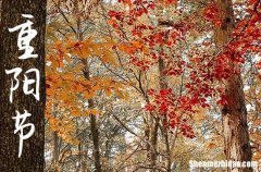 2024年重陽(yáng)節(jié)長(zhǎng)輩祝福語(yǔ) 重陽(yáng)節(jié)問(wèn)候老人的唯美句