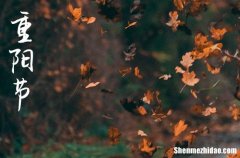 2024年重陽(yáng)節(jié)老年人祝福語(yǔ)重陽(yáng)節(jié)對(duì)老人的感恩寄語(yǔ)