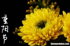 重陽(yáng)節(jié)祝福語(yǔ)經(jīng)典短信句2024年重陽(yáng)節(jié)祝福語(yǔ)短信