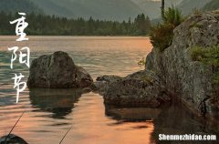 2024年重陽(yáng)節(jié)溫馨敬老說(shuō)說(shuō)祝福語(yǔ)大全重陽(yáng)節(jié)溫馨祝福語(yǔ)