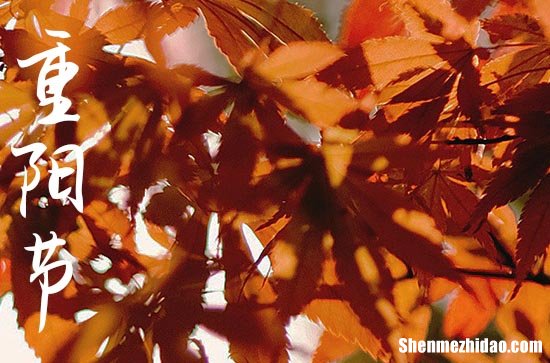 2024年重阳节送老人的优秀祝福语贺词重阳节祝福语贺词大全