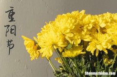 2024年重陽節(jié)的祝福語大全重陽節(jié)的佳句簡短