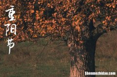 2024年重陽節(jié)微信祝福語大全重陽節(jié)微信發(fā)朋友圈祝福語