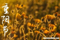 2024年重陽(yáng)節(jié)問(wèn)候短信祝福語(yǔ) 重陽(yáng)節(jié)祝福的話短句