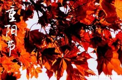 2024年重陽(yáng)節(jié)微信暖心祝福語(yǔ)重陽(yáng)節(jié)對(duì)老人的感恩寄語(yǔ)