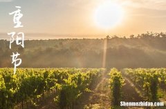 2024年重陽(yáng)節(jié)送親朋的祝福語(yǔ)重陽(yáng)節(jié)祝福朋友短句