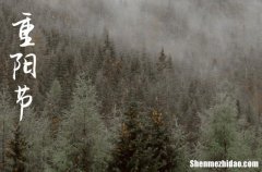 簡短的重陽節(jié)祝福語2024年 重陽節(jié)美好寓意祝福語