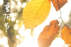 簡短的重陽節(jié)祝福語2024年重陽節(jié)唯美祝福語