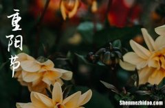 重陽節(jié)祝福語微信2024年 重陽節(jié)朋友圈祝福語