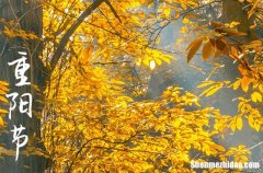 重陽節(jié)感恩寄語重陽節(jié)祝福語微信2024年